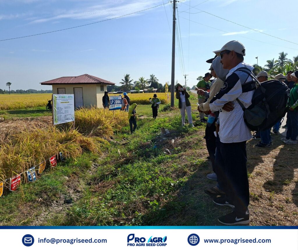 629654091_122288245316204283_5295628347509395486_n