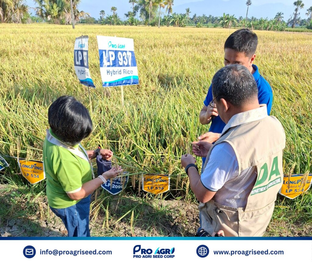 632575825_122288245214204283_5015363777797117064_n