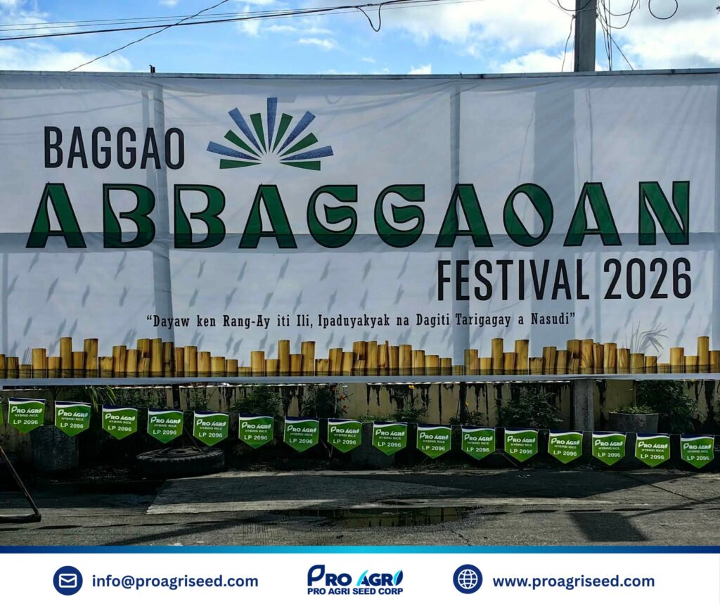 634329117_122289463292204283_5882791643672714269_n