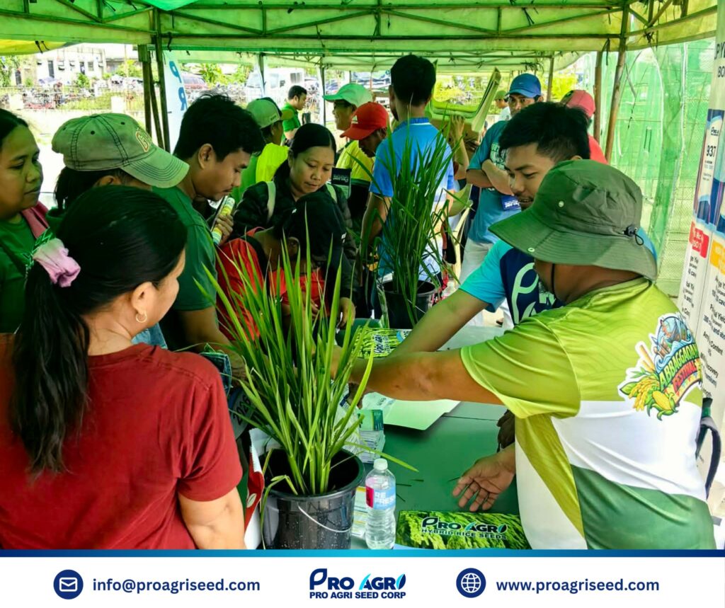 637132651_122289463178204283_7168191451570712943_n